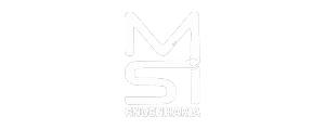 MSI Engenharia